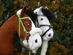 Tuolu_HobbyHorse