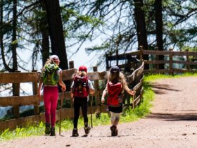 Tuolu_Wandern_in_Deutschland