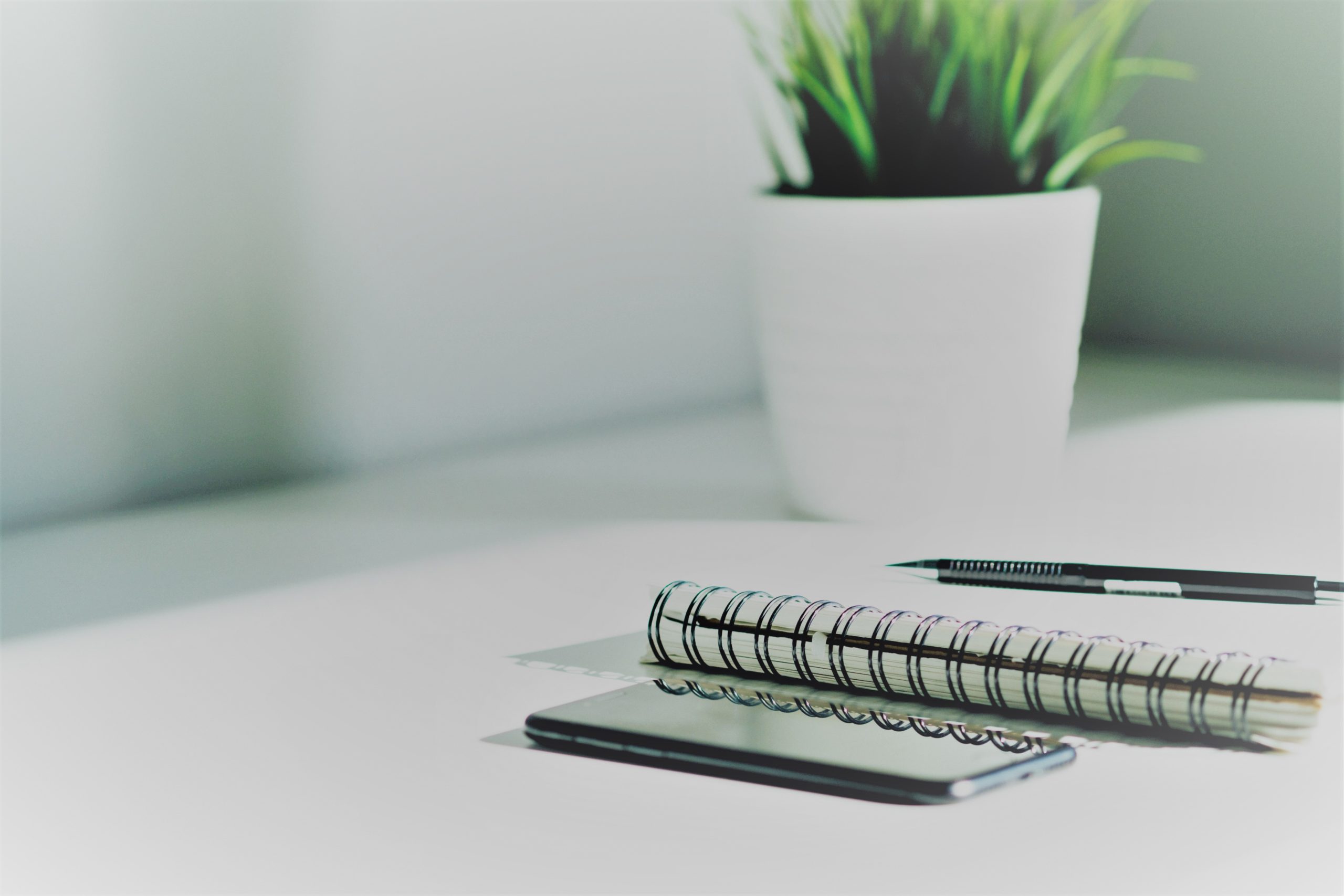 Karriere & Persönlichkeit